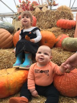 Fall fun at the pumpkin patch.